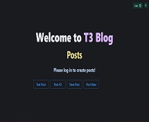 T3 Blog